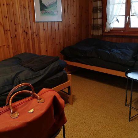Casa Steilalva - Grosszuegiges Chalet Fuer Erholsamen Familienurlaub Surrein Екстер'єр фото