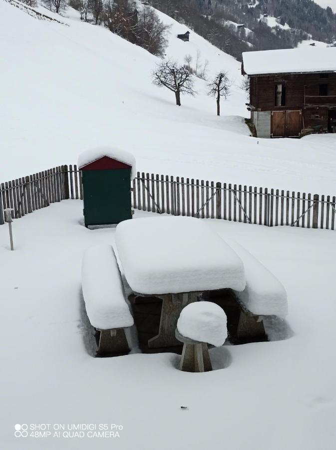 Casa Steilalva - Grosszuegiges Chalet Fuer Erholsamen Familienurlaub Surrein Екстер'єр фото