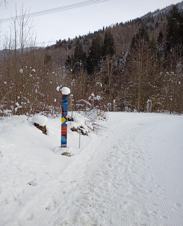 Casa Steilalva - Grosszuegiges Chalet Fuer Erholsamen Familienurlaub Surrein Екстер'єр фото
