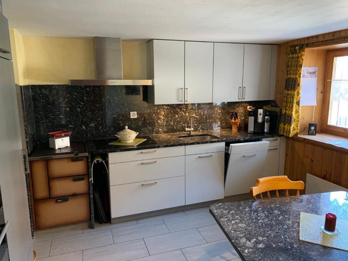 Casa Steilalva - Grosszuegiges Chalet Fuer Erholsamen Familienurlaub Surrein Екстер'єр фото