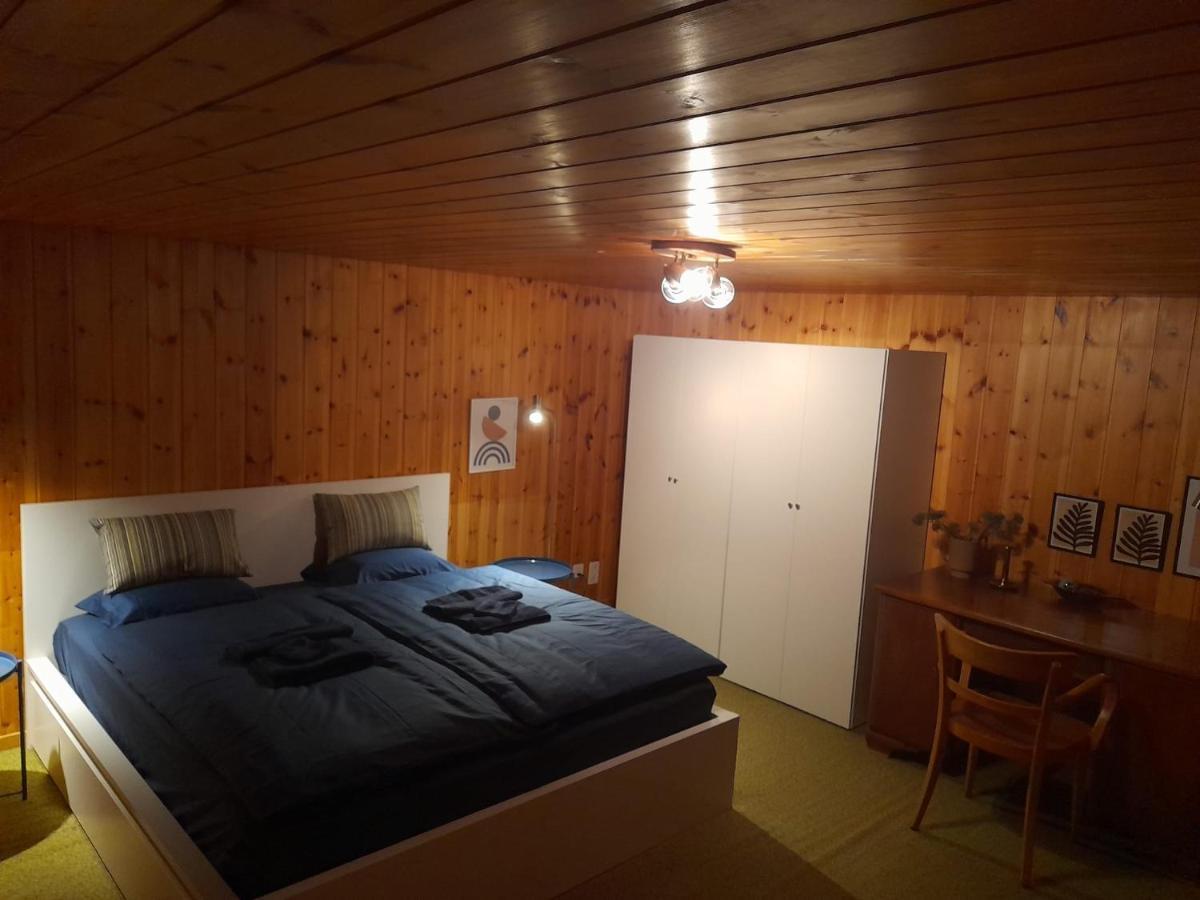 Casa Steilalva - Grosszuegiges Chalet Fuer Erholsamen Familienurlaub Surrein Екстер'єр фото